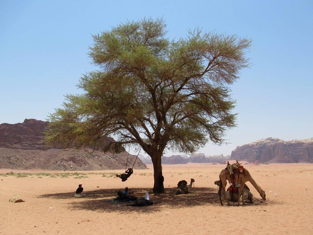 Climbers House In Wadi Rum Eksteriør bilde